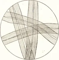 An illustration from Silk dyeing, printing, and finishing (1892)