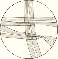 An illustration from Silk dyeing, printing, and finishing (1892)