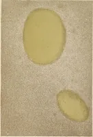 An illustration from The art of painting restored to its simplest and surest principles (1849)
