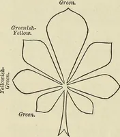 An illustration from Colour : an elementary manual for students (1887)
