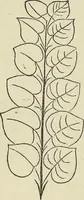An illustration from Colour : an elementary manual for students (1887)