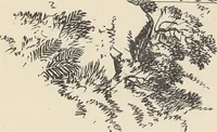 An illustration from The theory and practice of landscape painting in water-colours illustrated by a series of twenty-six drawings and diagrams in colours and numerous woodcuts (1885)