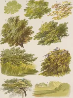 An illustration from The theory and practice of landscape painting in water-colours illustrated by a series of twenty-six drawings and diagrams in colours and numerous woodcuts (1885)