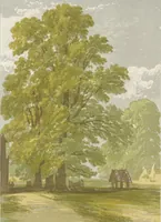 An illustration from The theory and practice of landscape painting in water-colours illustrated by a series of twenty-six drawings and diagrams in colours and numerous woodcuts (1885)