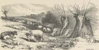 An illustration from The theory and practice of landscape painting in water-colours illustrated by a series of twenty-six drawings and diagrams in colours and numerous woodcuts (1885)