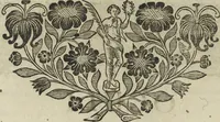 An illustration from Oculus artificialis teledioptricus, sive, Telescopium : ex abditis rerum naturalium & artificialium principiis protractum novâ methodo, eâque solidâ explicatum ac comprimis è triplici fundamento physico seu naturali, mathematico dioptrico et mechanico, seu practico stabilitum ... (1685)