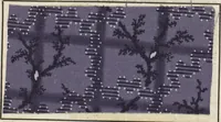 An illustration from Traité théorique et pratique de l'impression des tissus (1846)