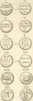 An illustration from Le cabinet de la Bibliotheque de Sainte Genevieve : divisé en deux parties : contenant les antiquitez de la réligion des chrétiens, des Egyptiens, & des Romains; des tombeaux, des poids & des médailles; de monnoyes, des pierres antiques gravées, & des mineraux ... (1692)