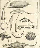 An illustration from Le cabinet de la Bibliotheque de Sainte Genevieve : divisé en deux parties : contenant les antiquitez de la réligion des chrétiens, des Egyptiens, & des Romains; des tombeaux, des poids & des médailles; de monnoyes, des pierres antiques gravées, & des mineraux ... (1692)