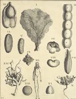 An illustration from Le cabinet de la Bibliotheque de Sainte Genevieve : divisé en deux parties : contenant les antiquitez de la réligion des chrétiens, des Egyptiens, & des Romains; des tombeaux, des poids & des médailles; de monnoyes, des pierres antiques gravées, & des mineraux ... (1692)
