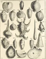 An illustration from Le cabinet de la Bibliotheque de Sainte Genevieve : divisé en deux parties : contenant les antiquitez de la réligion des chrétiens, des Egyptiens, & des Romains; des tombeaux, des poids & des médailles; de monnoyes, des pierres antiques gravées, & des mineraux ... (1692)