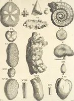 An illustration from Le cabinet de la Bibliotheque de Sainte Genevieve : divisé en deux parties : contenant les antiquitez de la réligion des chrétiens, des Egyptiens, & des Romains; des tombeaux, des poids & des médailles; de monnoyes, des pierres antiques gravées, & des mineraux ... (1692)