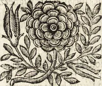 Picture 18 of 58 from La carta del nauegar pitoresco : dialogo tra vn senator venetian deletante, e vn professor de pitura, soto nome d'ecelenza, e de compare ... (1660), leaf 612