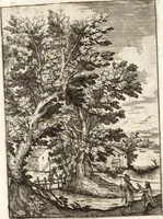 Picture 40 of 58 from La carta del nauegar pitoresco : dialogo tra vn senator venetian deletante, e vn professor de pitura, soto nome d'ecelenza, e de compare ... (1660), leaf 640