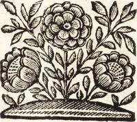 Picture 3 of 58 from La carta del nauegar pitoresco : dialogo tra vn senator venetian deletante, e vn professor de pitura, soto nome d'ecelenza, e de compare ... (1660), leaf 8
