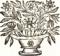 An illustration from Catalogue raisonné d'une collection considerable de diverses curiosités en tous genres : contenuës dans les cabinets de feu Monsieur Bonnier de la Mosson, bailly & capitaine des chasses de la Varenne des Thuilleries & ancien colonel du Regiment dauphin (1744)