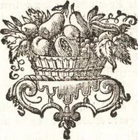 An illustration from Catalogue raisonné d'une collection considerable de diverses curiosités en tous genres : contenuës dans les cabinets de feu Monsieur Bonnier de la Mosson, bailly & capitaine des chasses de la Varenne des Thuilleries & ancien colonel du Regiment dauphin (1744)