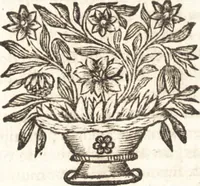 An illustration from Catalogue raisonné d'une collection considerable de diverses curiosités en tous genres : contenuës dans les cabinets de feu Monsieur Bonnier de la Mosson, bailly & capitaine des chasses de la Varenne des Thuilleries & ancien colonel du Regiment dauphin (1744)