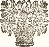 An illustration from Catalogue raisonné d'une collection considerable de diverses curiosités en tous genres : contenuës dans les cabinets de feu Monsieur Bonnier de la Mosson, bailly & capitaine des chasses de la Varenne des Thuilleries & ancien colonel du Regiment dauphin (1744)