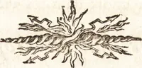 An illustration from Catalogue raisonné des tableaux du roy : avec un abrégé de la vie des peintres, fait par ordre de Sa Majeste (1752)