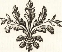 An illustration from Catalogue raisonné des tableaux du roy : avec un abrégé de la vie des peintres, fait par ordre de Sa Majeste (1752)