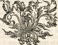 An illustration from I cesari in oro : raccolti nel Farnese museo, e pubblicati colle loro congrue interpretazioni (1694)