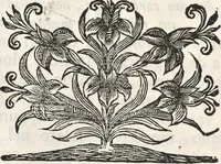 An illustration from I cesari in oro : raccolti nel Farnese museo, e pubblicati colle loro congrue interpretazioni (1694)