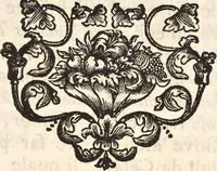 An illustration from I cesari in oro : raccolti nel Farnese museo, e pubblicati colle loro congrue interpretazioni (1694)