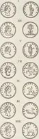 Picture 34 of 48 from I cesari in oro : raccolti nel Farnese museo, e pubblicati colle loro congrue interpretazioni (1694), leaf 245