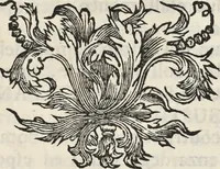 An illustration from I cesari in oro : raccolti nel Farnese museo, e pubblicati colle loro congrue interpretazioni (1694)