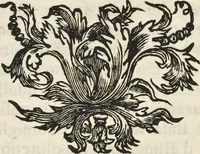 An illustration from I cesari in oro : raccolti nel Farnese museo, e pubblicati colle loro congrue interpretazioni (1694)