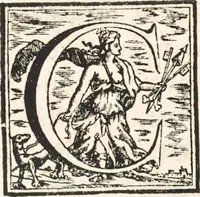 An illustration from I cesari in oro : raccolti nel Farnese museo, e pubblicati colle loro congrue interpretazioni (1694)