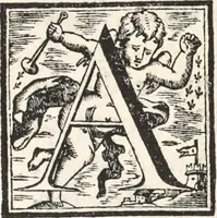 An illustration from I cesari in oro : raccolti nel Farnese museo, e pubblicati colle loro congrue interpretazioni (1694)