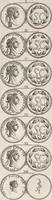 Picture 61 of 92 from I cesari in oro : raccolti nel Farnese museo, e pubblicati colle loro congrue interpretazioni (1694), leaf 240