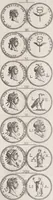 Picture 67 of 92 from I cesari in oro : raccolti nel Farnese museo, e pubblicati colle loro congrue interpretazioni (1694), leaf 258