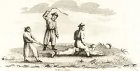 An illustration from China, its costume, arts, manufactures, &c. : edited principally from the originals in the cabinet of the late M. Bertin, with observations explanatory, historical, and literary (1812)
