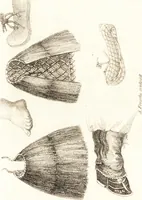 An illustration from China, its costume, arts, manufactures, &c. : edited principally from the originals in the cabinet of the late M. Bertin, with observations explanatory, historical, and literary (1812)