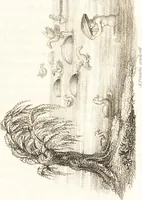 An illustration from China, its costume, arts, manufactures, &c. : edited principally from the originals in the cabinet of the late M. Bertin, with observations explanatory, historical, and literary (1812)