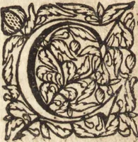 An illustration from Christiani Thomasii, JCti, Consil. Elect. Brandenb. in Univers. Frideric. P.P. & dictae univers. ac facult. ibid. juridicae senioris Institutionum jurisprudentiae divinae libri tres : in quibus fundamenta juris naturalis secundum hypotheses illustris Pufendorffii perspicuè demonstrantur, & ab objectionibus dissentientium, potissimum D. Valentini Alberti, professoris Lipsiensis, liberantur, fundamenta itidem juris divini positivi universalis primùm à jure naturali distinctè secernuntur & explicantur .. (1694)