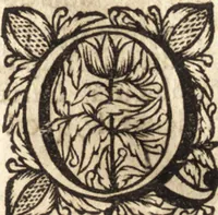 An illustration from Christiani Thomasii, JCti, Consil. Elect. Brandenb. in Univers. Frideric. P.P. & dictae univers. ac facult. ibid. juridicae senioris Institutionum jurisprudentiae divinae libri tres : in quibus fundamenta juris naturalis secundum hypotheses illustris Pufendorffii perspicuè demonstrantur, & ab objectionibus dissentientium, potissimum D. Valentini Alberti, professoris Lipsiensis, liberantur, fundamenta itidem juris divini positivi universalis primùm à jure naturali distinctè secernuntur & explicantur .. (1694)