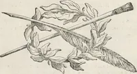 Picture 8 of 33 from Il claustro di S. Michele in Bosco di Bologna : dipinto dal famoso Lodovico Carracci, e da altri eccellenti maestri uscita dalla sua scola (1694), leaf 16