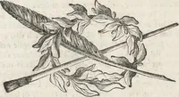 Picture 21 of 33 from Il claustro di S. Michele in Bosco di Bologna : dipinto dal famoso Lodovico Carracci, e da altri eccellenti maestri uscita dalla sua scola (1694), leaf 47