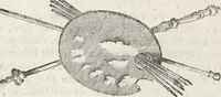Picture 25 of 33 from Il claustro di S. Michele in Bosco di Bologna : dipinto dal famoso Lodovico Carracci, e da altri eccellenti maestri uscita dalla sua scola (1694), leaf 57