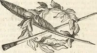 Picture 21 of 35 from Il claustro di S. Michele in Bosco di Bologna : dipinto dal famoso Lodovico Carracci, e da altri eccellenti maestri uscita dalla sua scola (1694), leaf 49