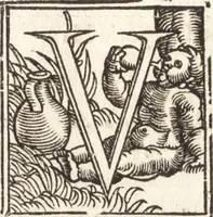 Picture 53 of 108 from Concilia omnia, tam generalia quam particularia : ab apostolorum temporibus in hunc vsque diem a sanctissimis patribus celebrata, & quorum acta literis mandata, ex vetustissimis diuersa[rum] regionu[m] bibliothecis haberi potuere, his duobus tomis continentur : tomvs primvs ea recenset concilia, quae a beato Petro apostolo vsq[ue] ad Iohanne[m] huius nominis papam secundu[m] seruata inuenimus : quo[rum] ordinem & nomina si quis accuratius desideret, versa pagina indicabit (1538), leaf 477