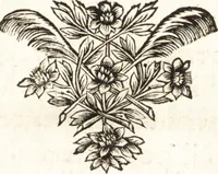 An illustration from Conferences de l'Academie royale de peinture et de sculpture, pendant l'année 1667 (1669)