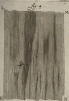 An illustration from Continuatio epistolarum, datarum ad longè celeberrimam Regiam Societatem Londinensem (1696)