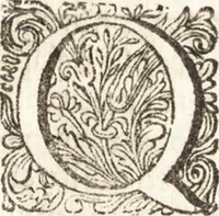 An illustration from Continuatio epistolarum, datarum ad longè celeberrimam Regiam Societatem Londinensem (1696)