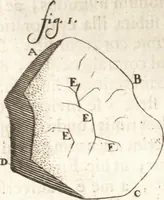 An illustration from Continuatio epistolarum, datarum ad longè celeberrimam Regiam Societatem Londinensem (1696)