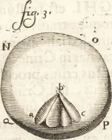 Picture 20 of 74 from Continuatio epistolarum, datarum ad longè celeberrimam Regiam Societatem Londinensem (1696), leaf 169